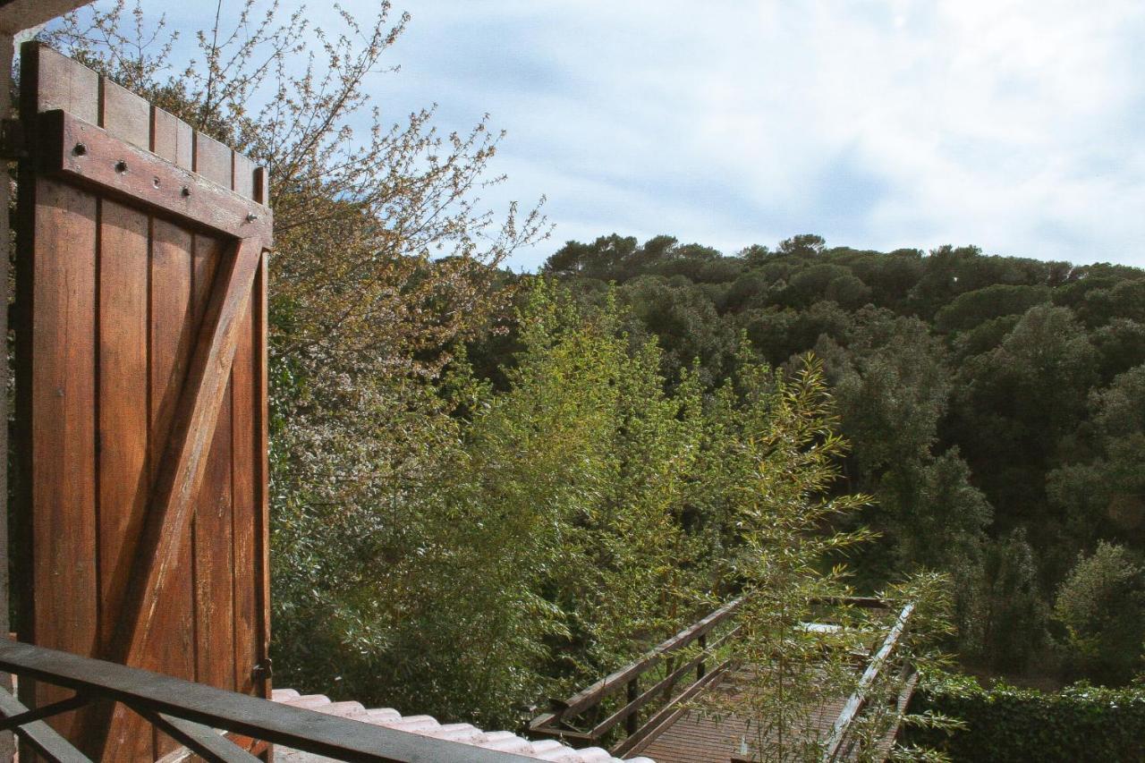 Casa Magnolia Villa Dosrius Eksteriør billede